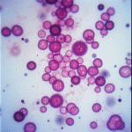 freepik__35mm-film-photography-closeup-of-microscopic-patho__16444